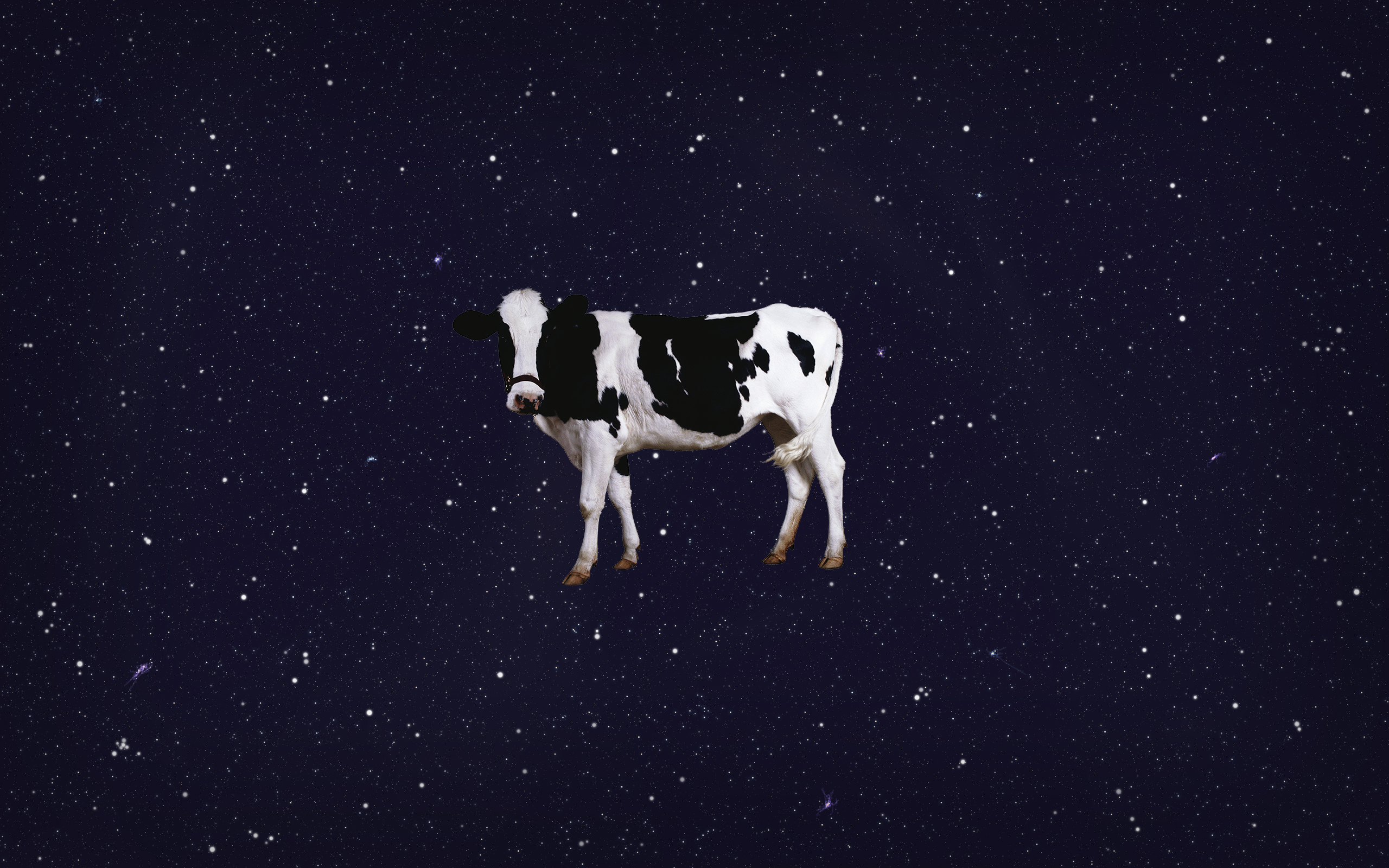 Nihilist Space Cow Logo